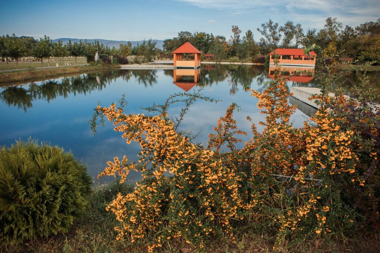 Illara Spa Hotel Ilosva Kültér fotó